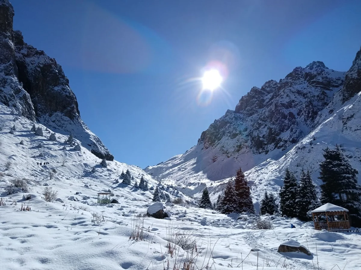 фото Victor Glutsenko