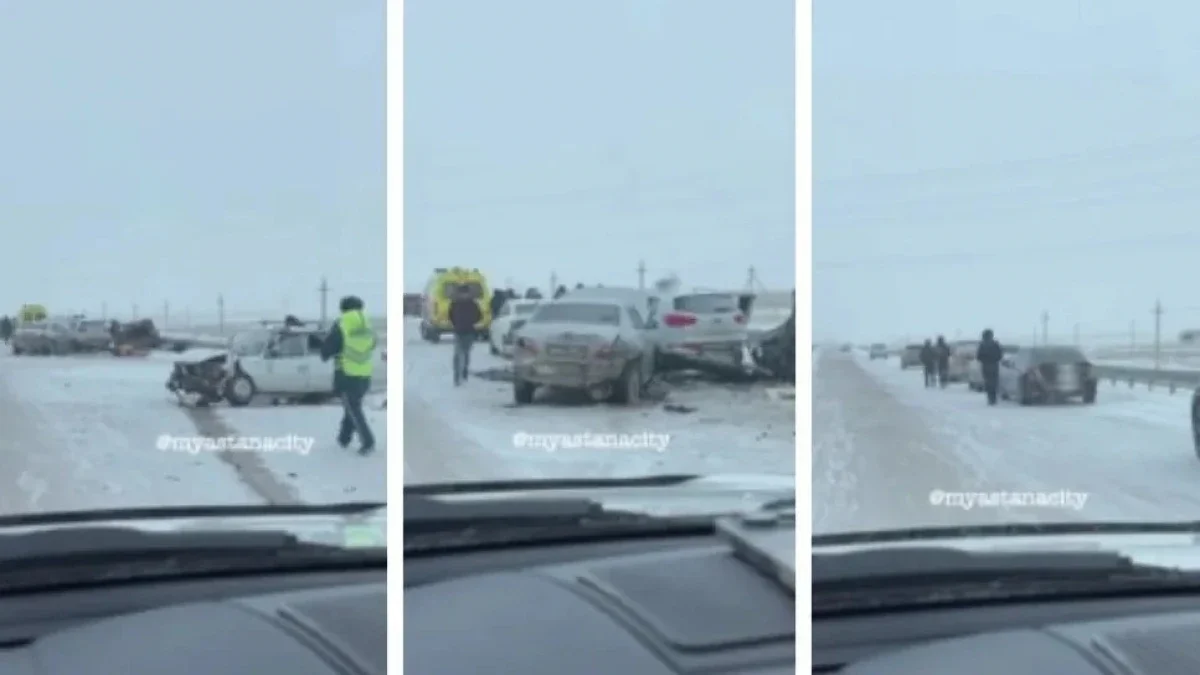 Видеодан кадр