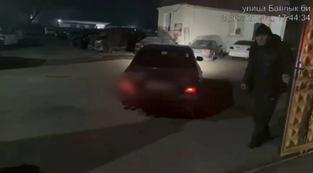 Видеодан кадр