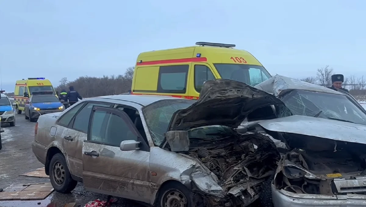 Видеодан кадр