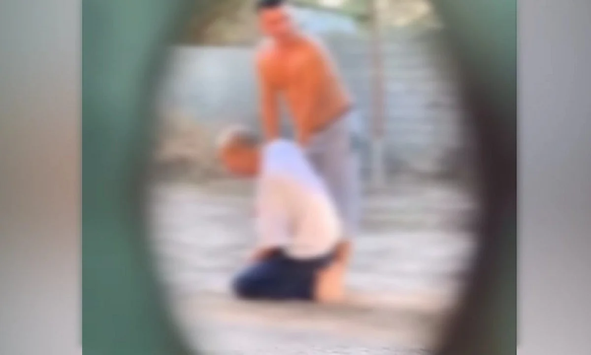 Фото видеодан алынды