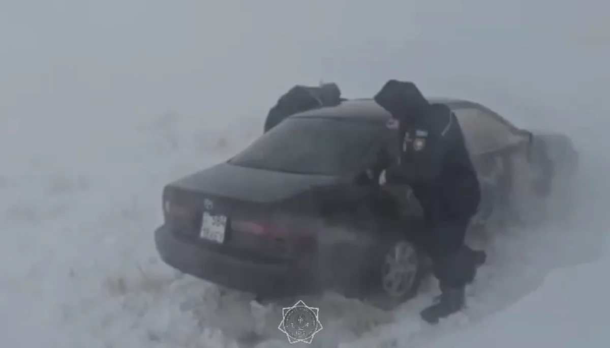 Видеодан кадр