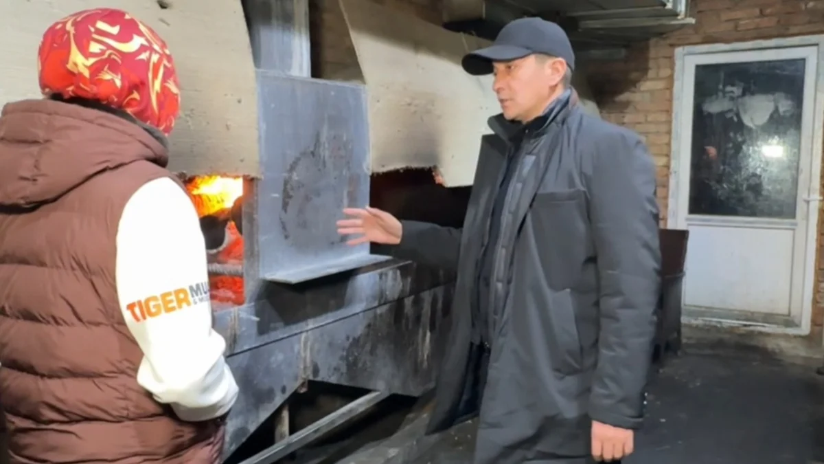 Видеодан кадр