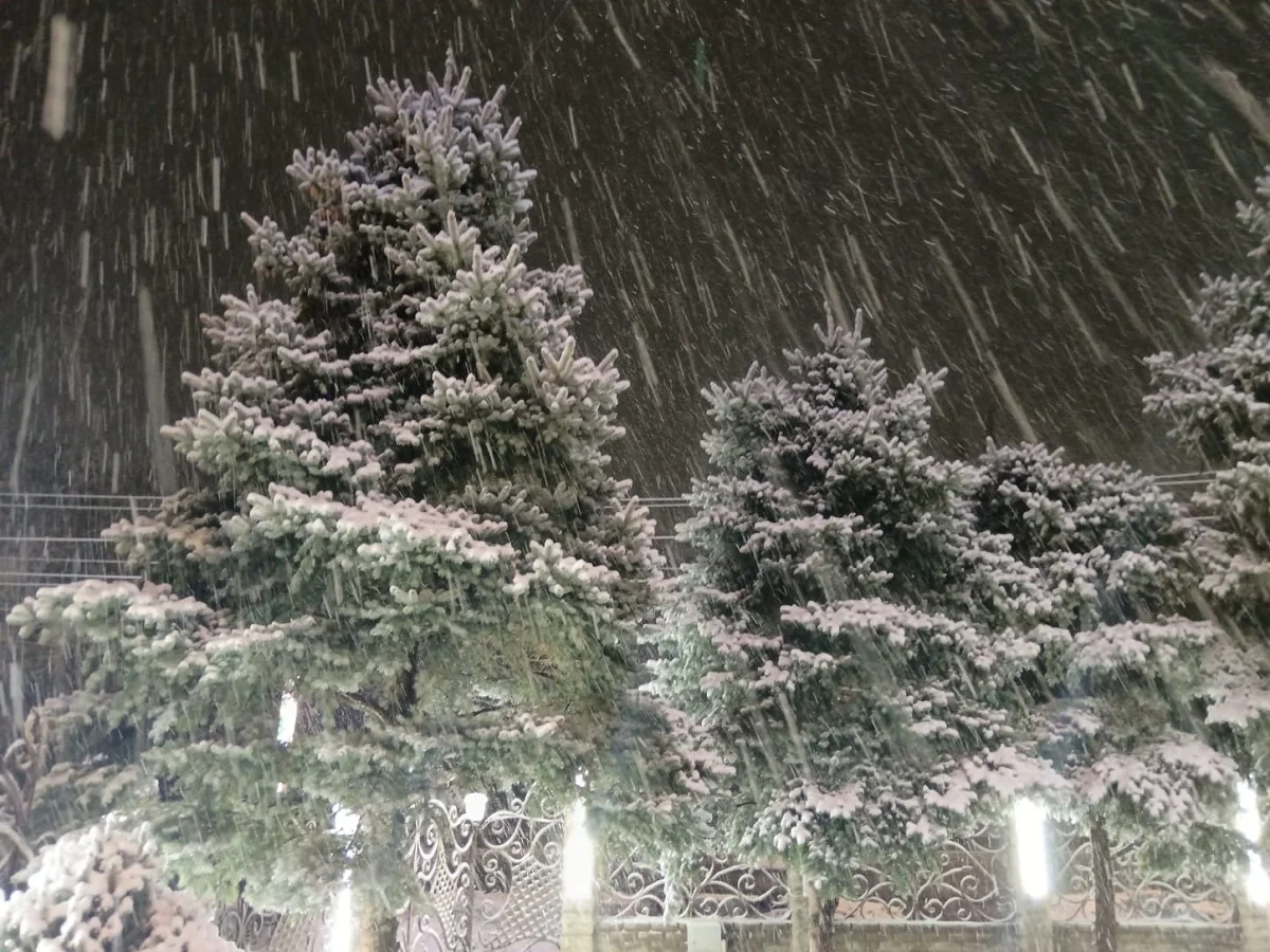 фото Victor Glutsenko