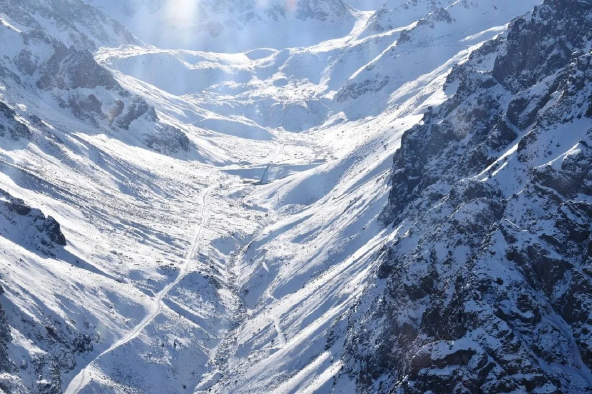 ТЖМ ресми телеграм каналы