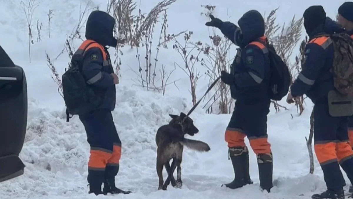 instagram.com/skiparkpioneer