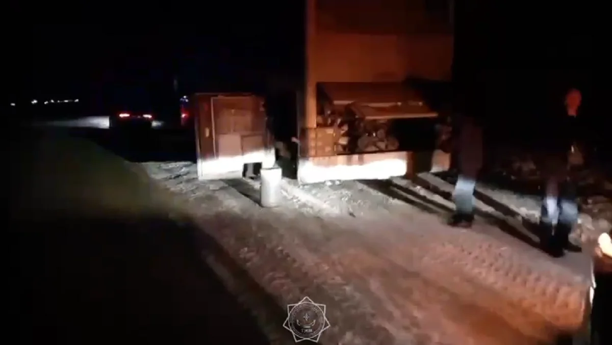 Видеодан кадр