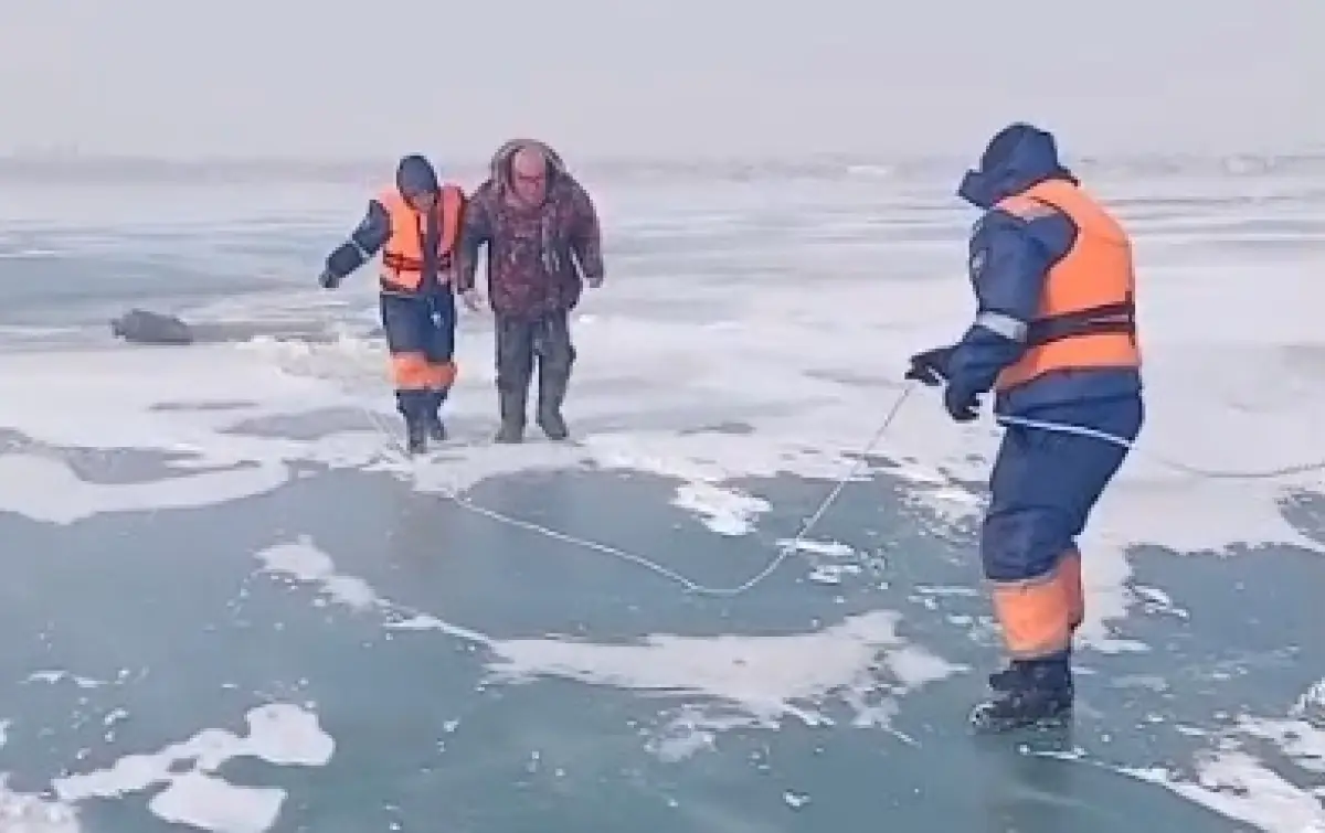 Кадр из видео