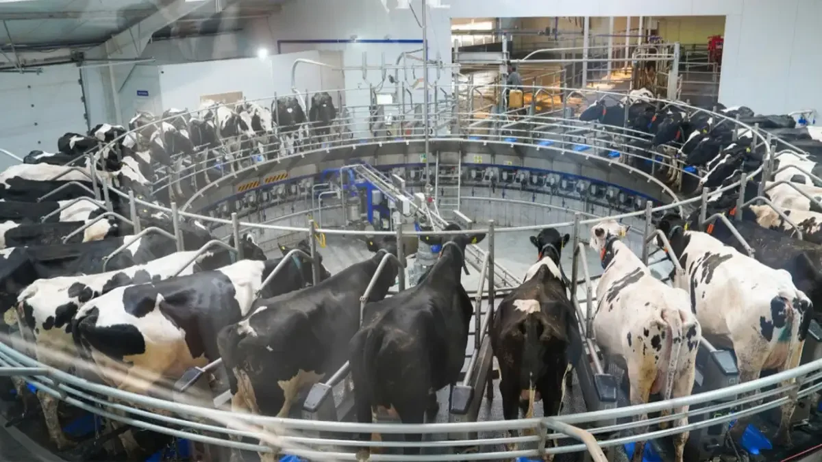 пресс-служба Правительства РК