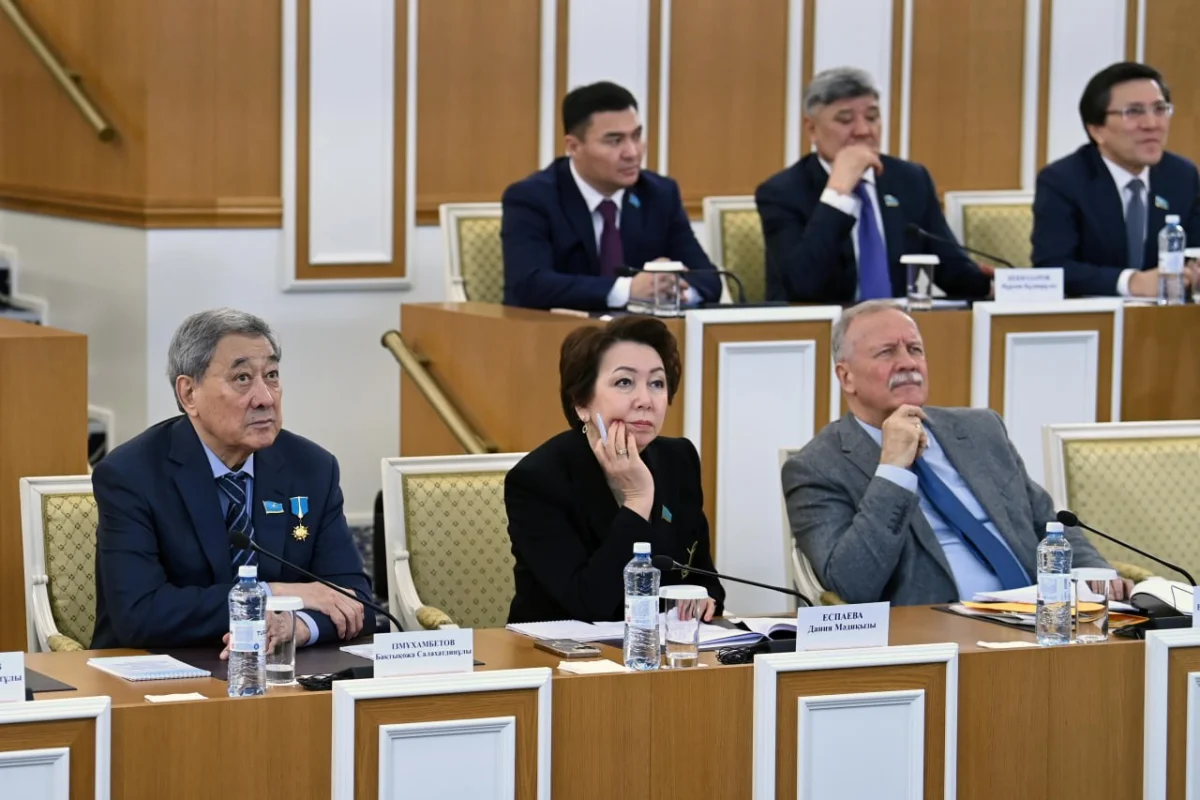 Фото из Telegram-канала «Конституционная реформа 2026»