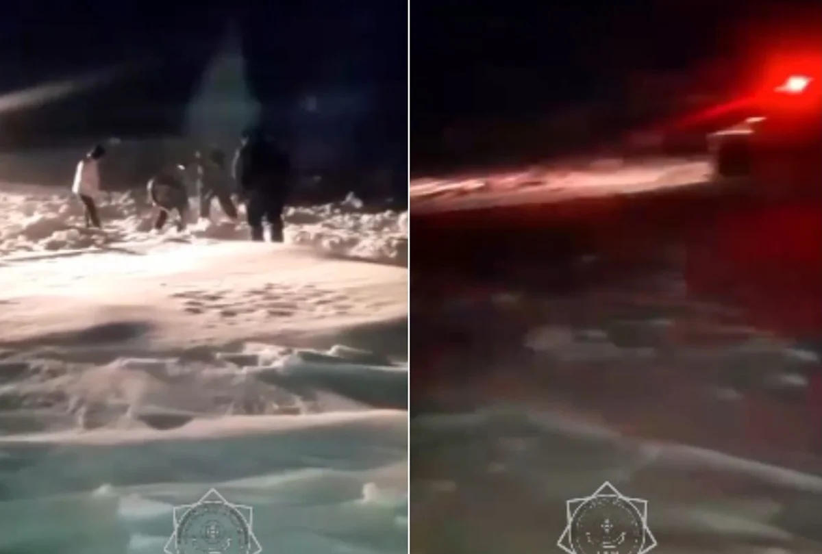 Видеодан кадр