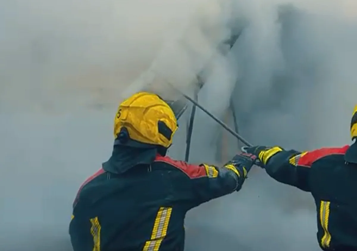 Видеодан кадр