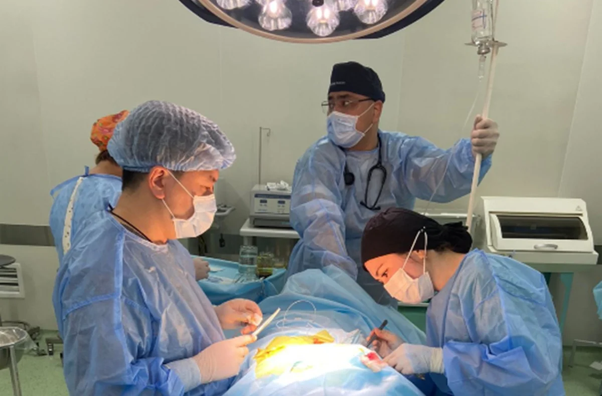 Фото: пресс-соужба етской городской клинической больнице №2