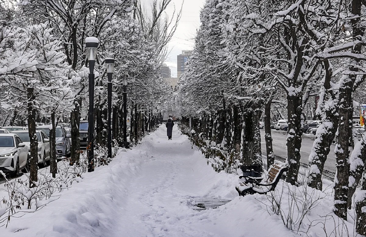 Аlmaty.tv / Виталий Фатчев