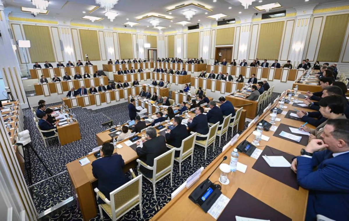 Фото из Telegram-канала «Конституционная реформа 2026»