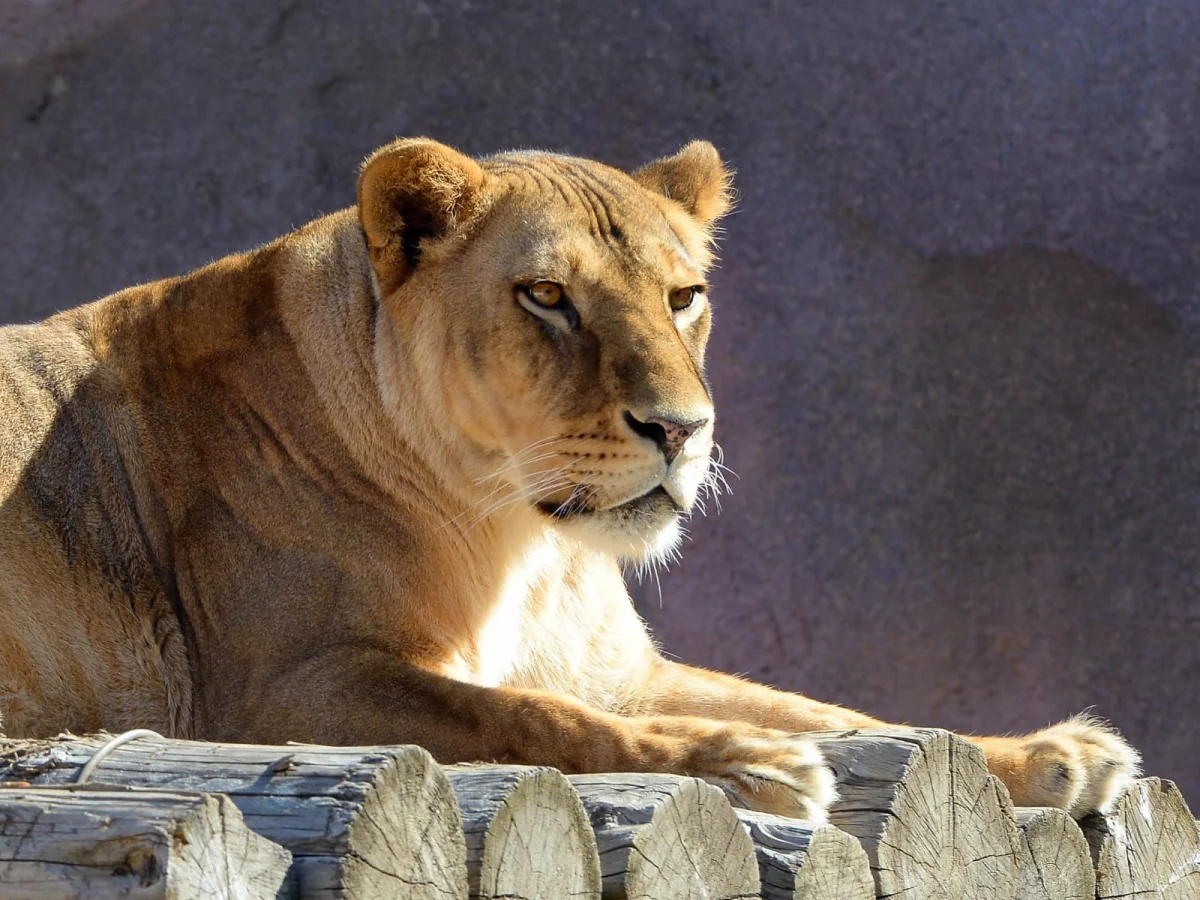 Фото: пресс-служба акимата Алматы