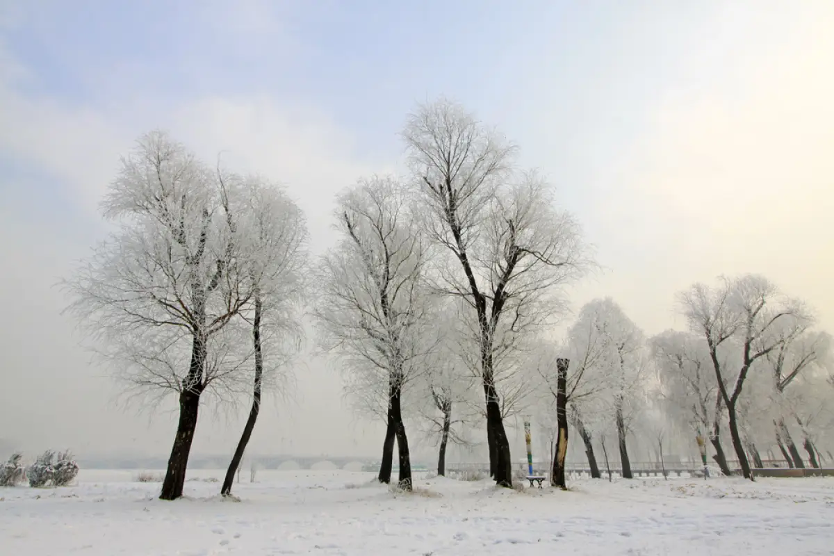 Depositphotos