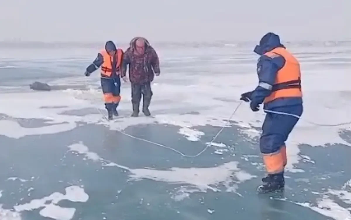 Видеодан кадр