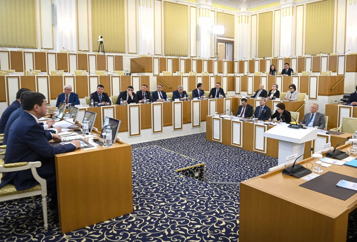 Фото из Telegram-канала «Конституционная реформа 2026»