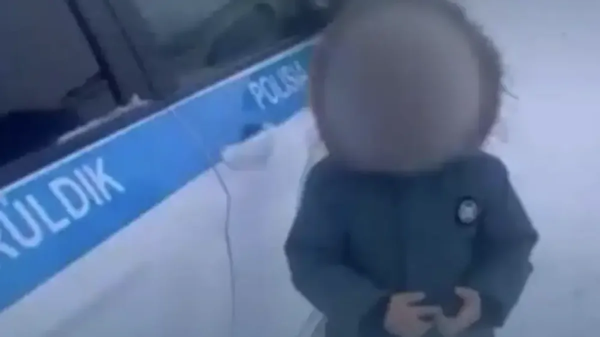 Видеодан кадр