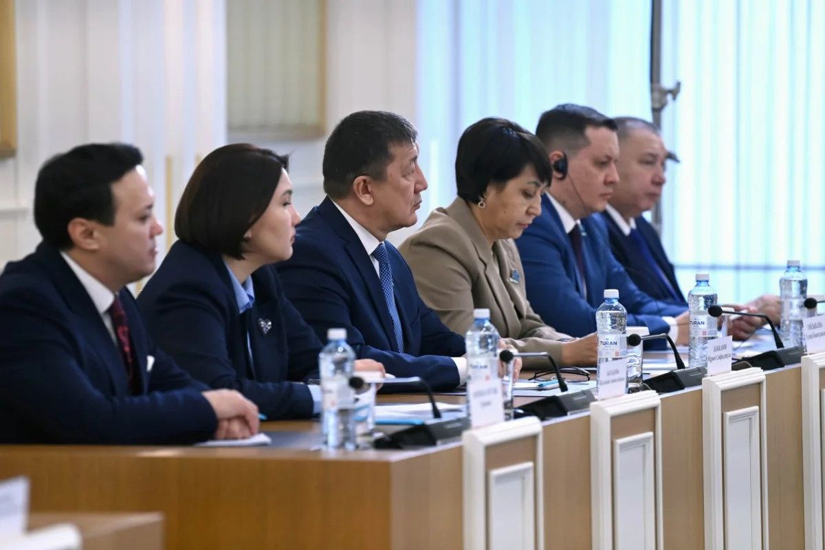 Фото из Telegram-канала «Конституционная реформа 2026»