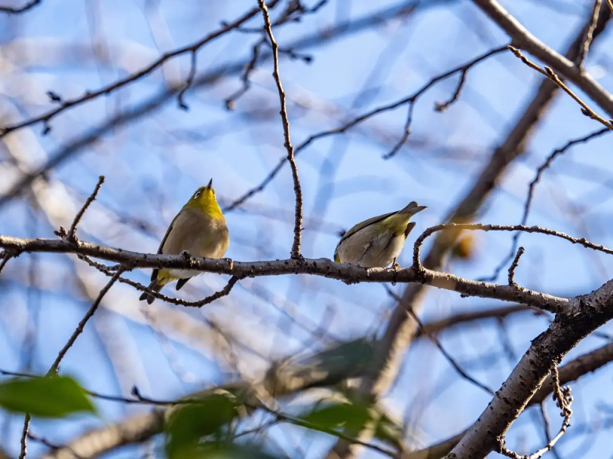 Depositphotos.com