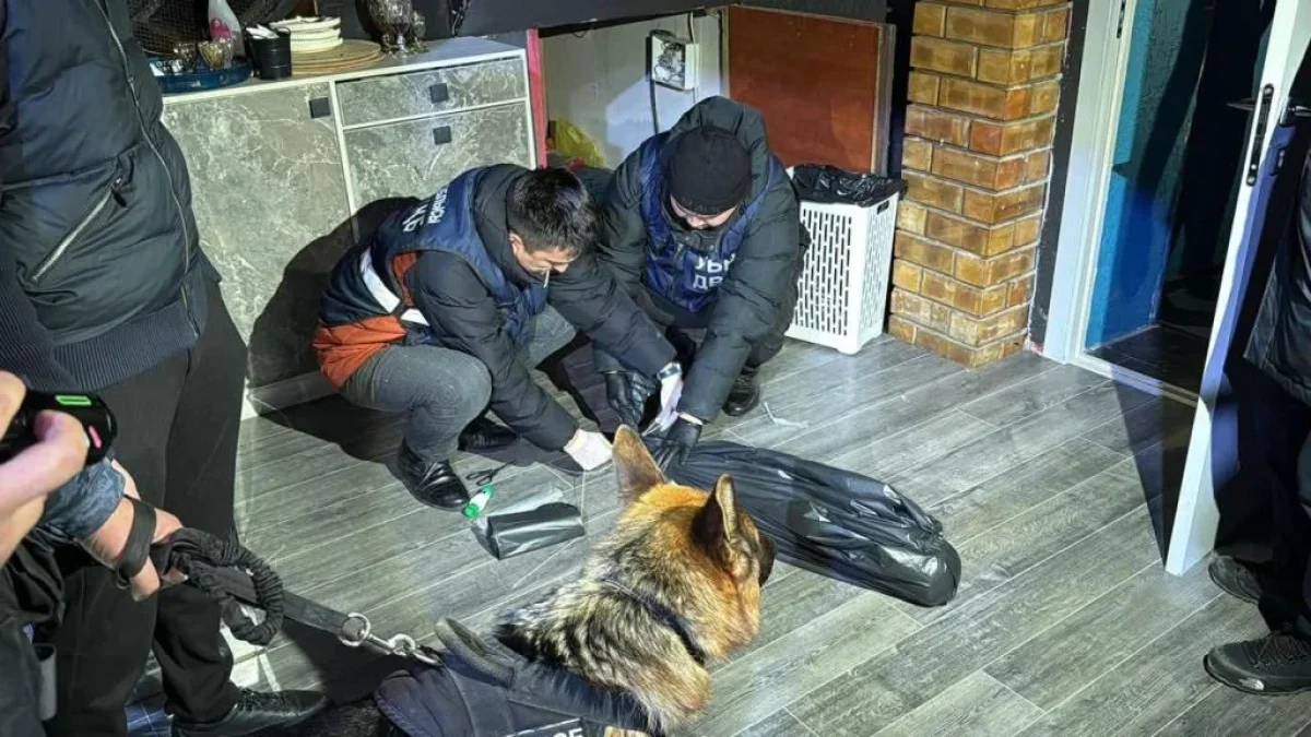 ДП Кызылординской области