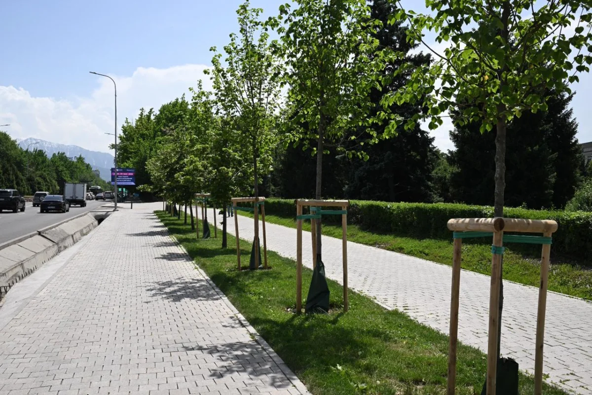 пресс-служба акима Алматы