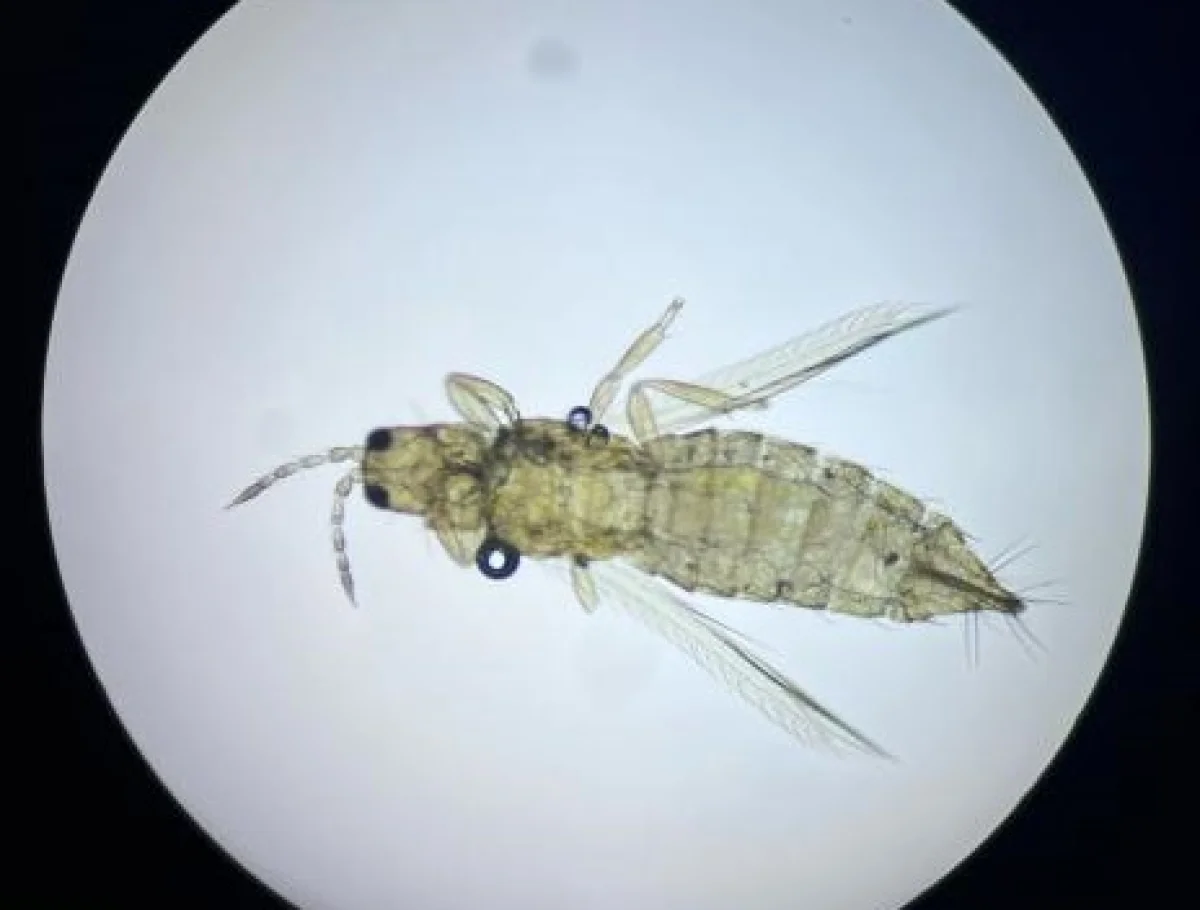 Минсельхоз