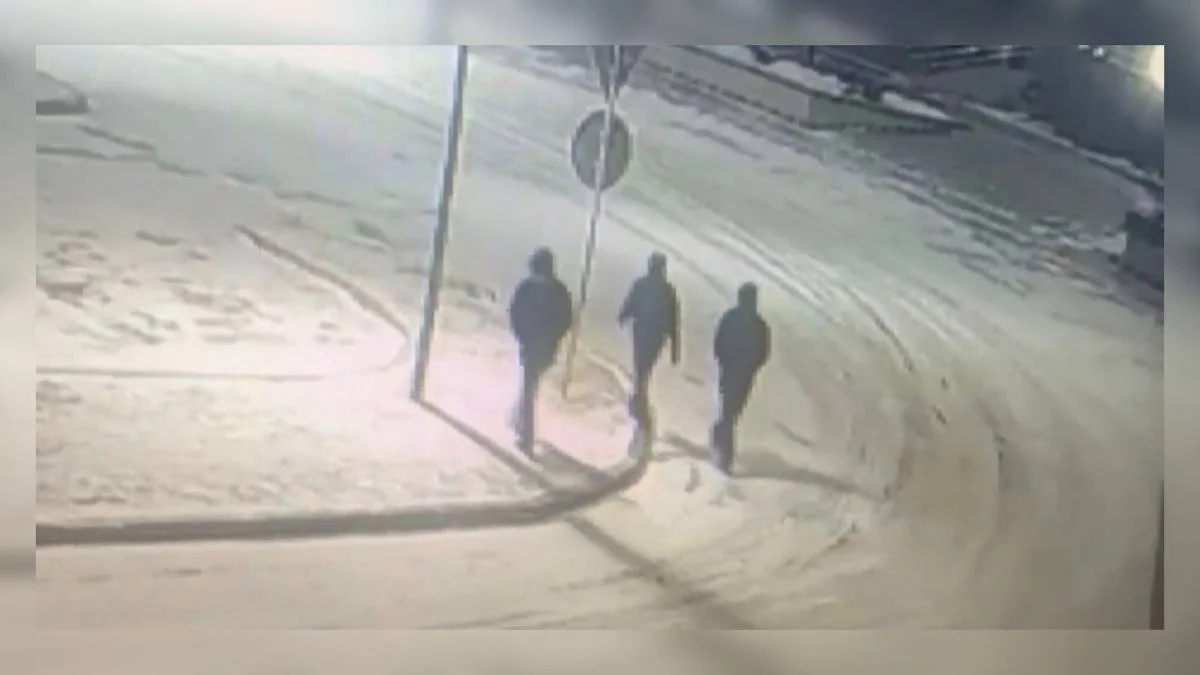 Видеодан кадр