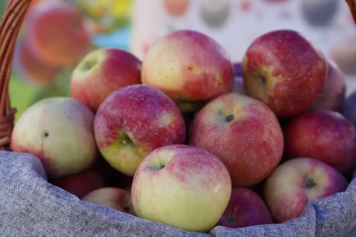 Минсельхоз