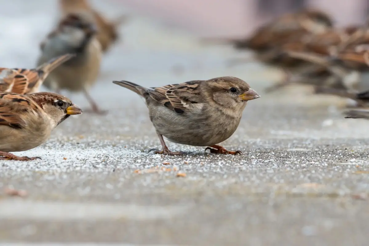 Depositphotos.com