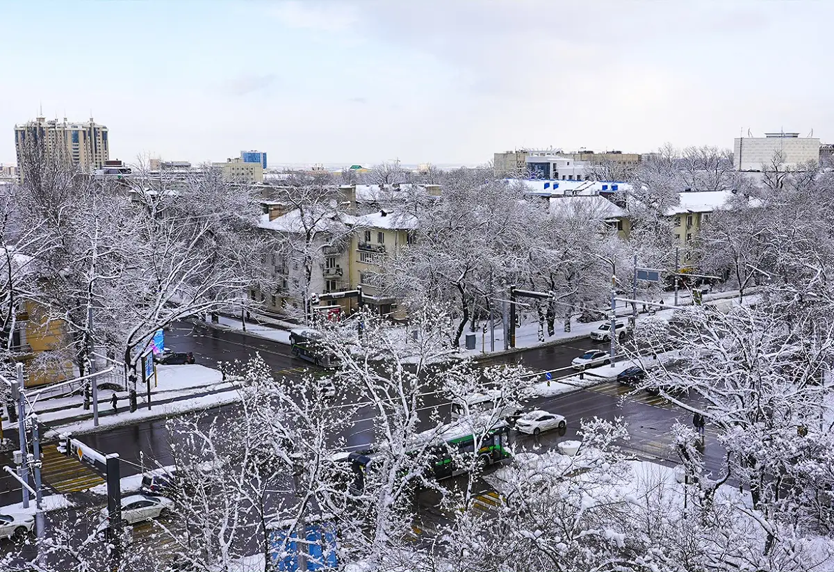 Аlmaty.tv / Виталий Фатчев