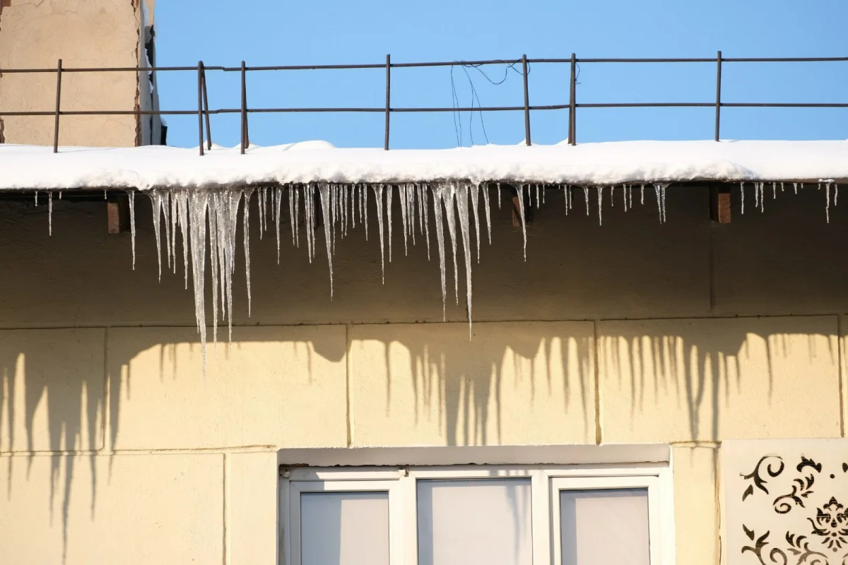 пресс-служба акима Алматы