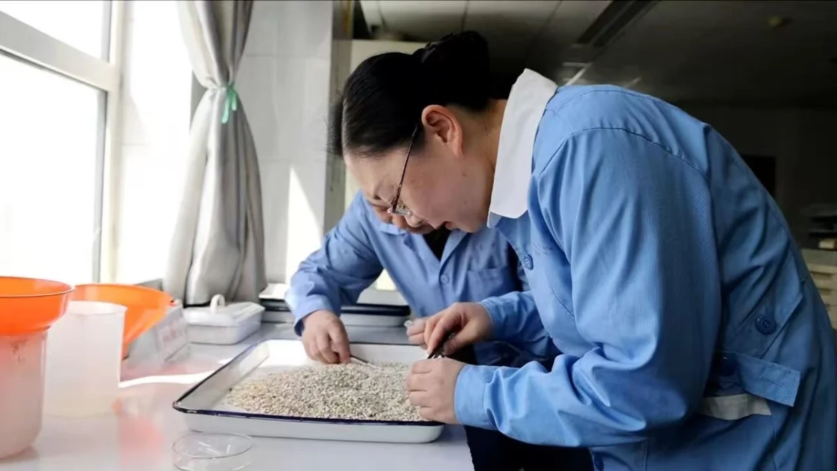 фото: XINHUANET NORTH AMERICA CORPORATION Ltd