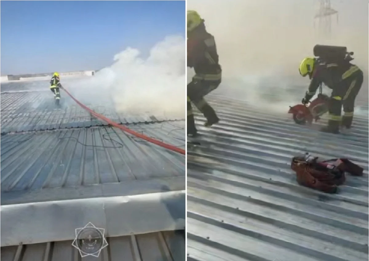 Видеодан кадр