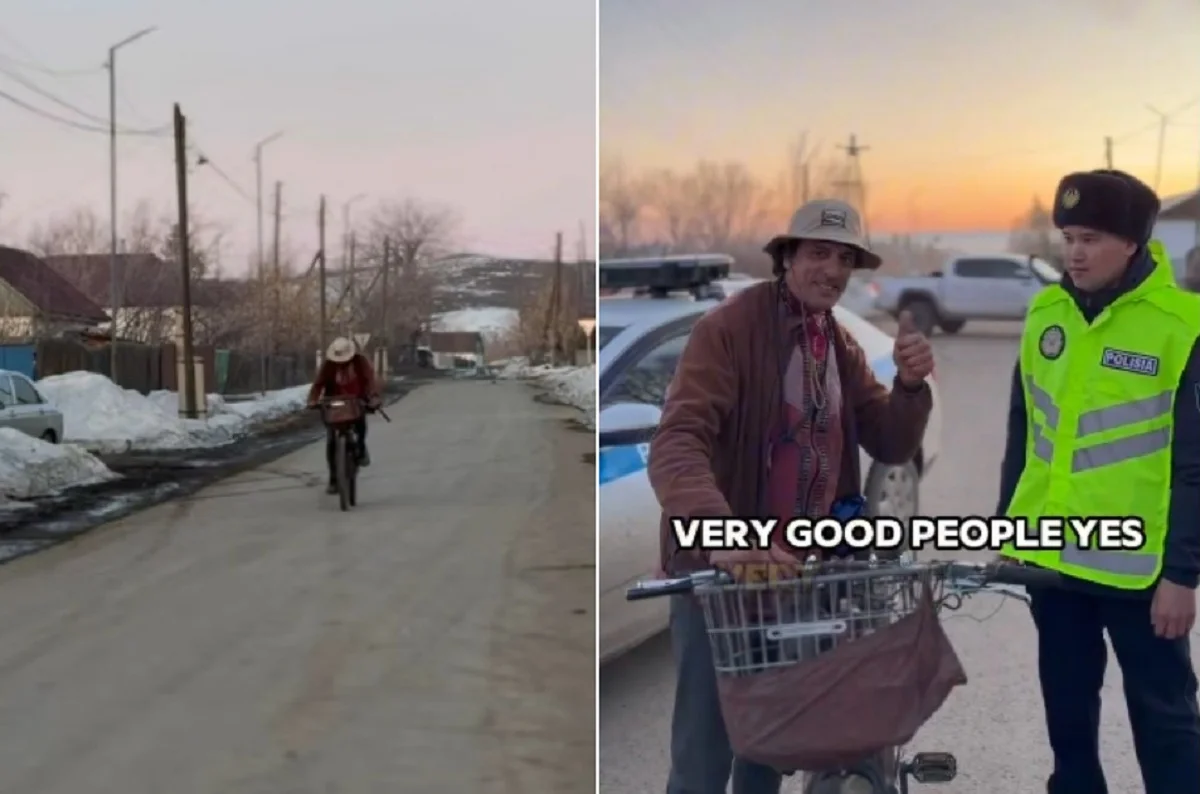 Видеодан кадр