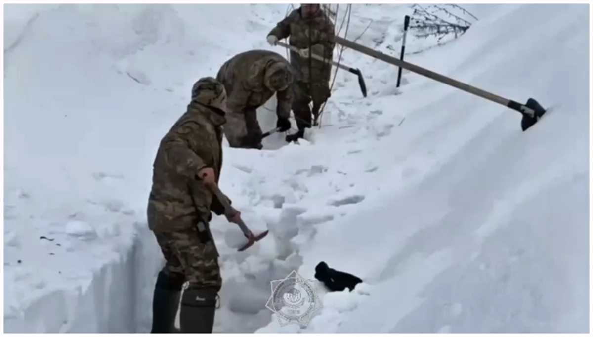 Видеодан кадр