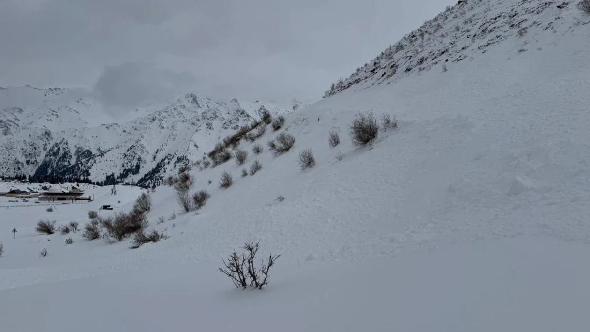 ҚР ТЖМ баспасөз қызметі