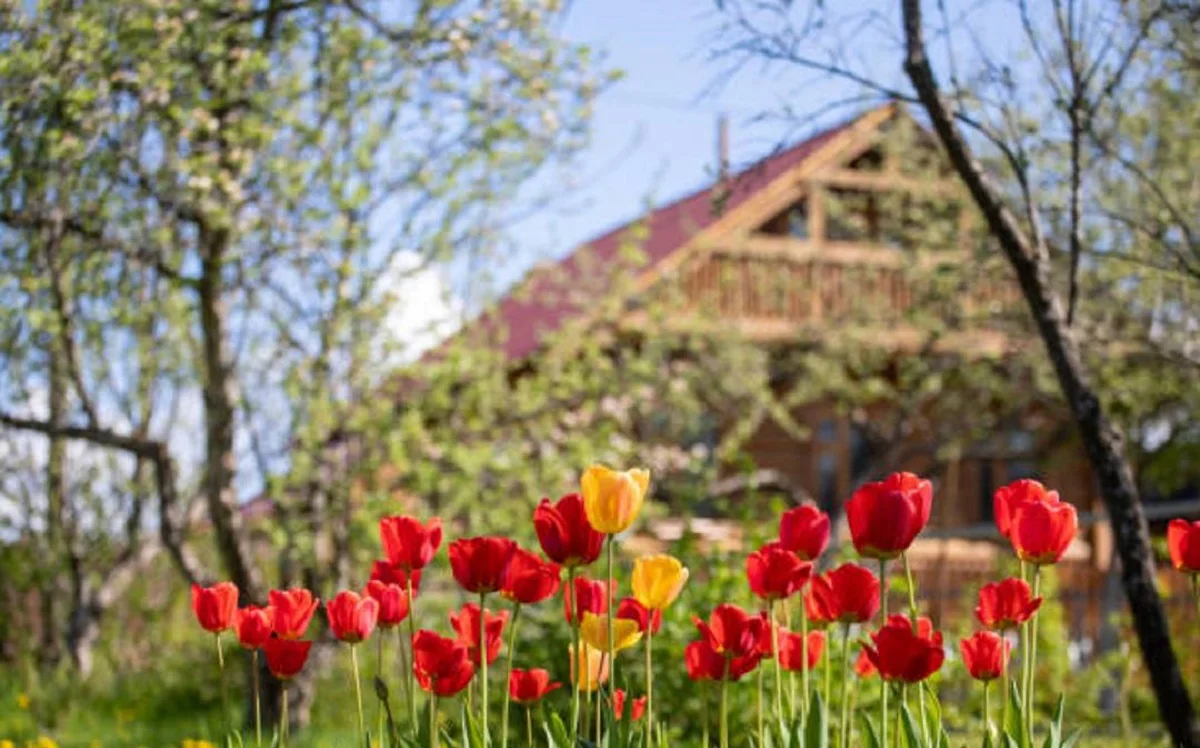 Алматы облысы әкімдігінің баспасөз қызметі