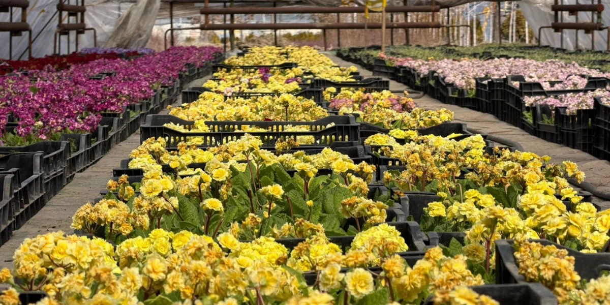 пресс-служба акима Алматы