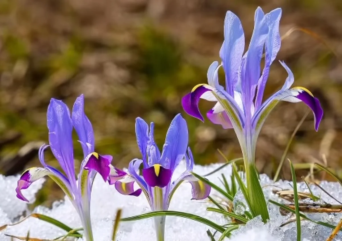 Кадр из видео