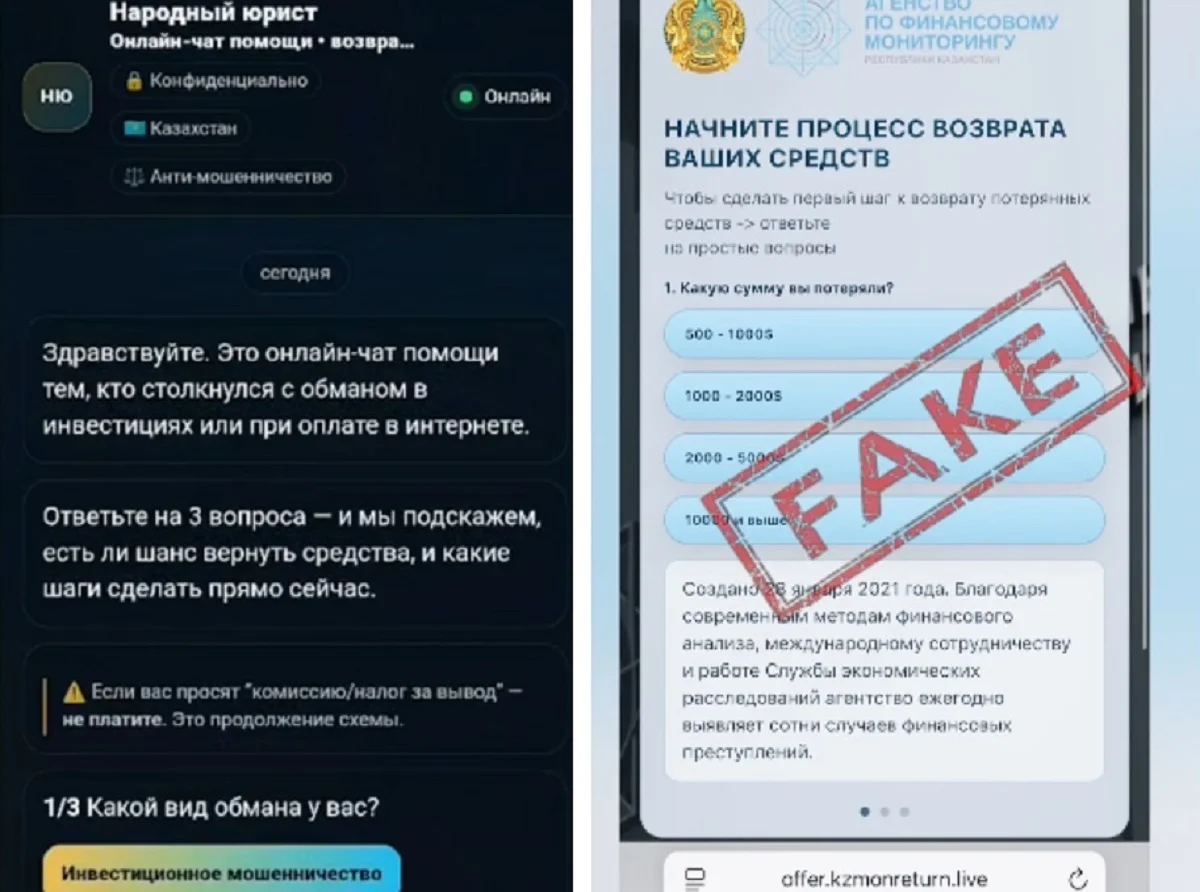 Видеодан кадр