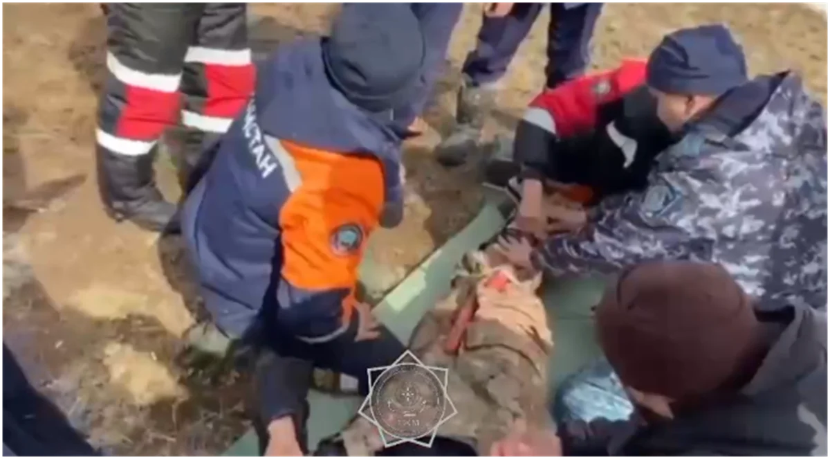 Видеодан кадр