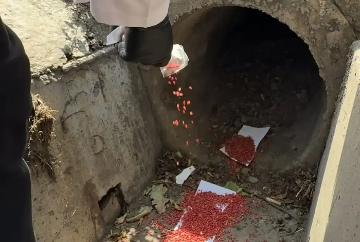 Алматы қаласы әкімдігінің баспасөз қызметі