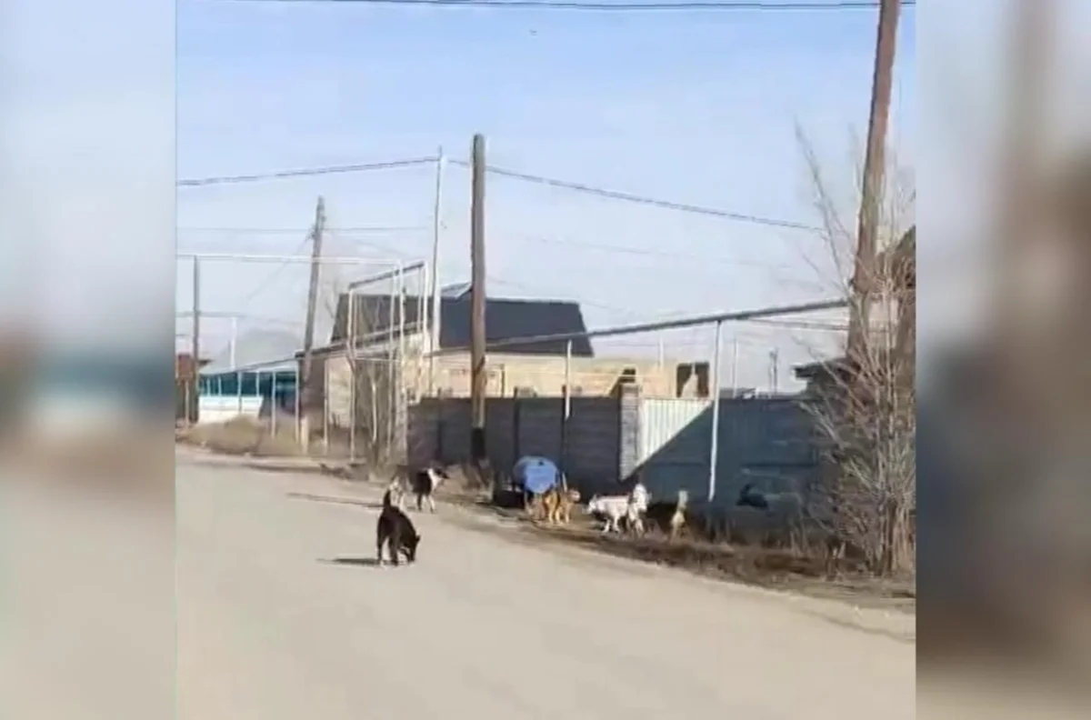 из архива Аlmaty.tv