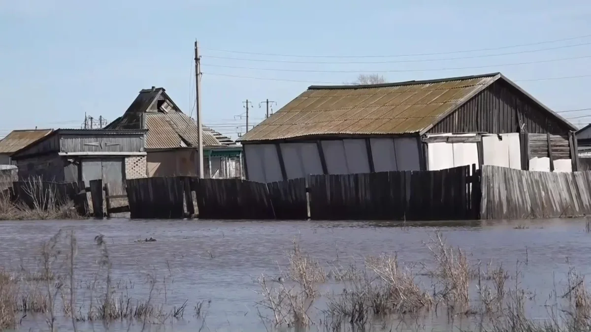 Almaty.tv (мұрағат)