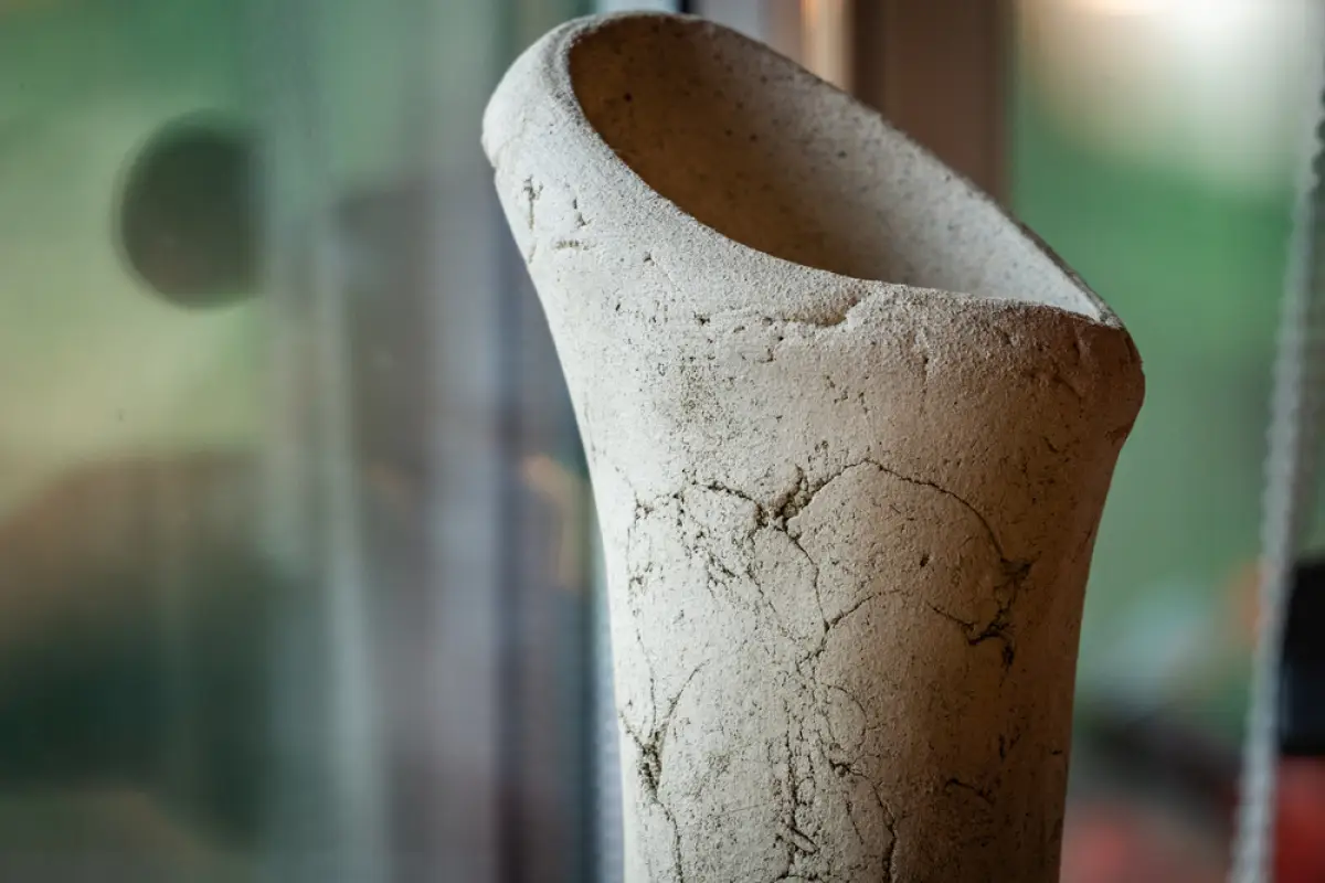 Depositphotos