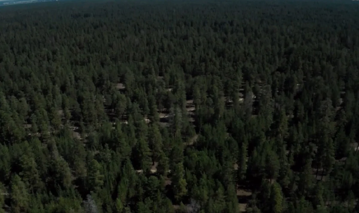 Үкіметтің баспасөз қызметі