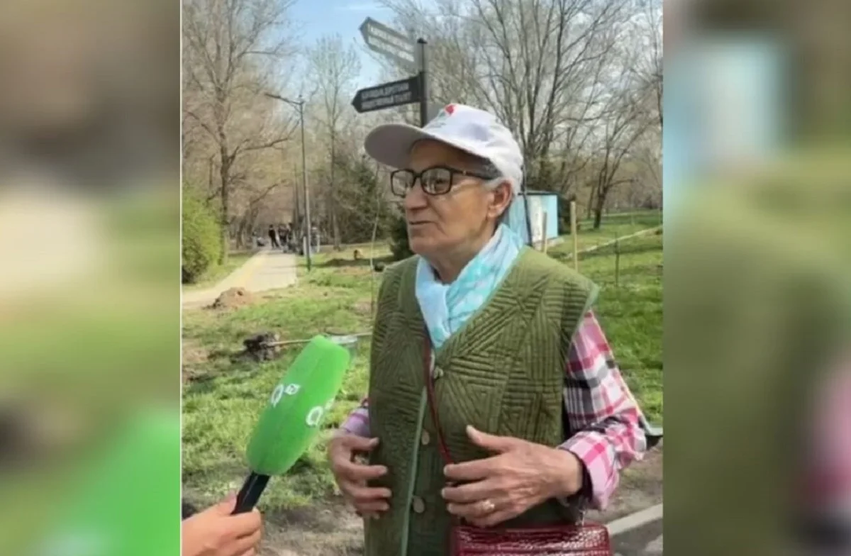 Видеодан кадр